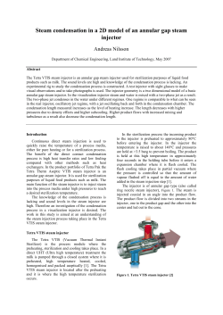Steam condensation in a 2D model of an annular gap steam injector