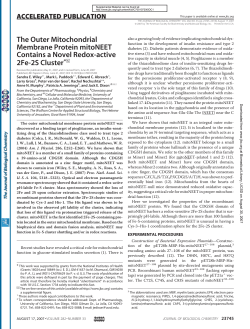 The Outer Mitochondrial Membrane Protein