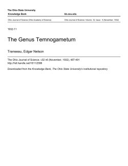The Genus Temnogametum - Knowledge Bank
