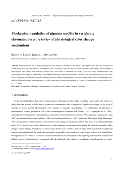 Biochemical regulation of pigment motility in vertebrate