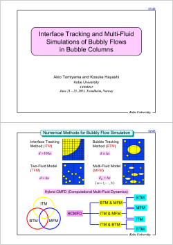 Prof Akio Tomiyama ()