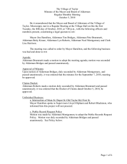 The Village of Taylor