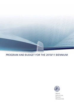 program and budget for the 2010/11 biennium