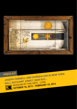 JosePh Cornell and surrealism - Mus&eacute;e des Beaux Arts de Lyon