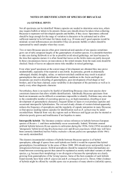 NOTES ON IDENTIFICATION OF SPECIES OF BRYACEAE
