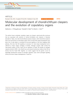 Molecular development of chondrichthyan claspers