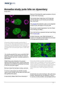 Amoeba study puts bite on dysentery