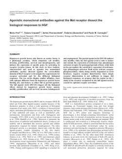Agonistic monoclonal antibodies against the Met receptor dissect