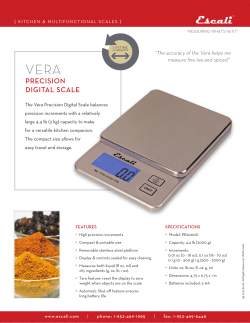PRECISION DIGITAL SCALE