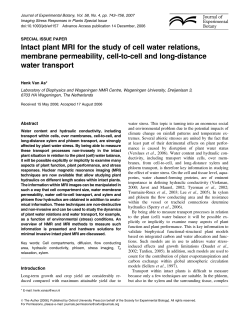 Intact plant MRI for the study of cell water relations