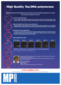 High Quality Taq DNA polymerase
