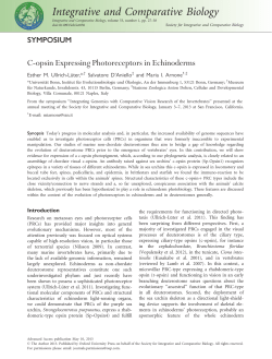 C-opsin Expressing Photoreceptors in Echinoderms