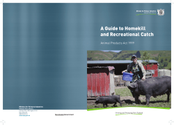 A Guide to Homekill and Recreational Catch