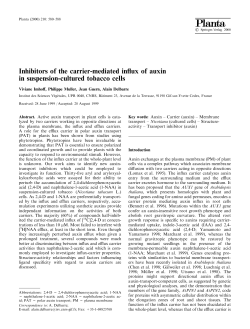 Inhibitors of the carrier-mediated influx of auxin in suspension