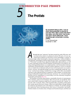 The Protists