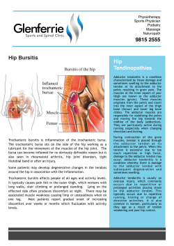 Hip Bursitis and Tendinopathies - Glenferrie Sports and Spinal Clinic