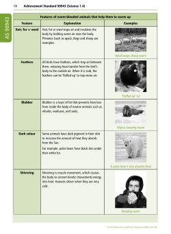 Features of warm-blooded animals that help them
