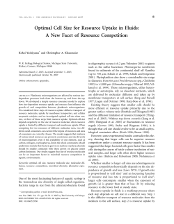 Optimal cell size for resource uptake in fluids: a new facet of