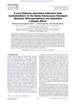 A new Chinese specimen indicates that