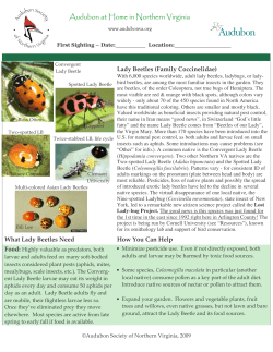 Audubon at Home in Northern Virginia