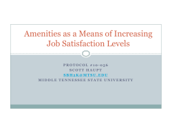 Amenities as a Means of Increasing Job Satisfaction Levels