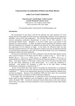 Characteristics of combustion of Rich