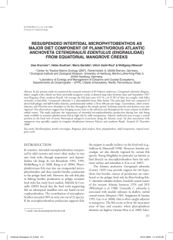 Cetengraulis edentulus - Society for Tropical Ecology