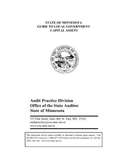 Minnesota Guide to Local Government Capital