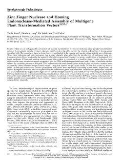 Zinc Finger Nuclease and Homing Endonuclease
