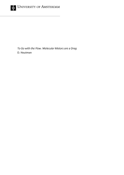 To Go with the Flow. Molecular Motors are a Drag D. Houtman