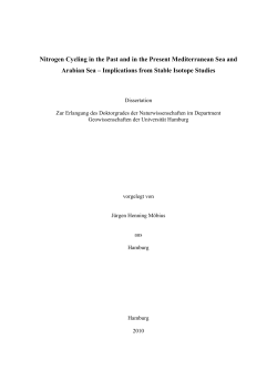 Nitrogen Cycling in the Past and in the Present Mediterranean Sea