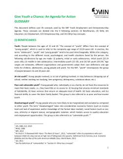 the MIF Youth Glossary