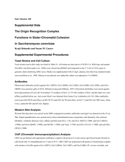 Supplementary Material