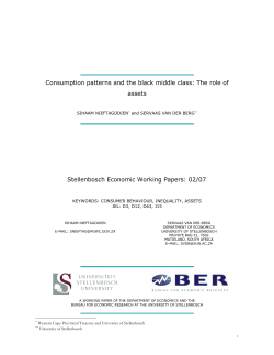Consumption patterns and the black middle class: The role of assets