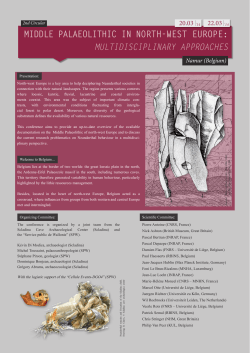 MIDDLE PALAEOLITHIC IN NORTH