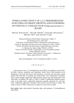 STIMULATORY EFFECT OF 2,3,5-TRIIODOBENZOIC ACID (TIBA