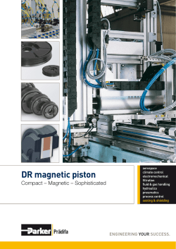 magnetic piston-GB