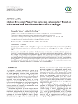 Distinct Lysosome Phenotypes Influence Inflammatory Function in