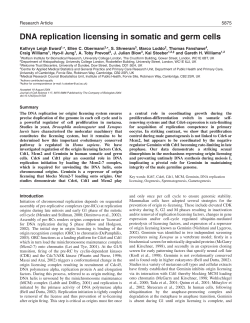 DNA replication licensing in somatic and germ cells