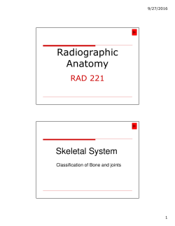 02. Skeletal system- classification of bones and joints