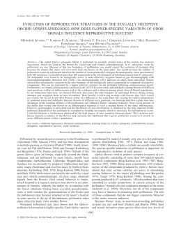 evolution of reproductive strategies in the sexually deceptive orchid
