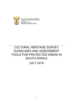 Cultural Heritage Survey Guidelines and Assessment Tools for