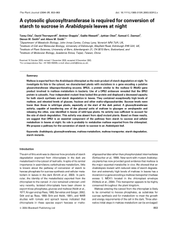 A cytosolic glucosyltransferase is required for conversion of starch to
