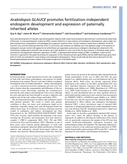 Arabidopsis GLAUCE promotes fertilization