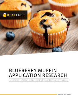 blueberry muffin application research