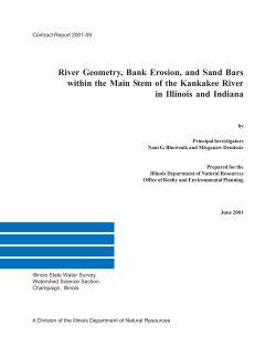 River Geometry, Bank Erosion and Sand Bars within the Main Stem