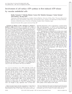 Involvement of cell surface ATP synthase in flow - AJP