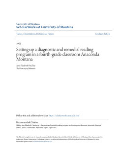 Setting up a diagnostic and remedial reading program in a fourth