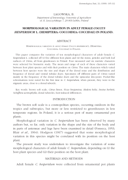 Entomologica 33_199_Entomologica da stampare