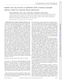 Kupffer cells and activation of endothelial TLR4 coordinate